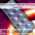 What Is Leopard Miracle Of Honey Used For viagra3